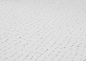 txema-yeste-needles-12