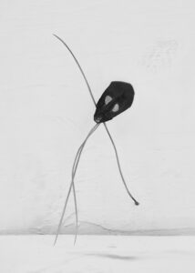 txema-yeste-needles-18