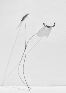 txema-yeste-needles-19