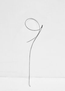 txema-yeste-needles-21