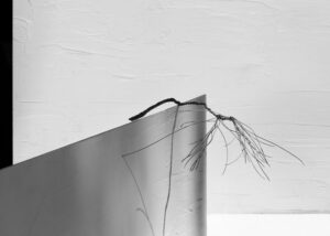 txema-yeste-needles-24