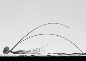 txema-yeste-needles-27