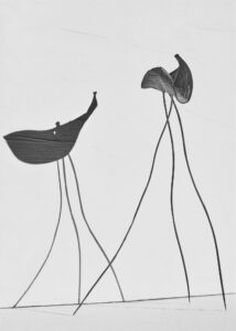 txema-yeste-needles-37