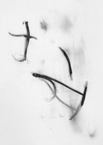 txema-yeste-needles-5