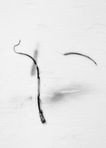 txema-yeste-needles-6